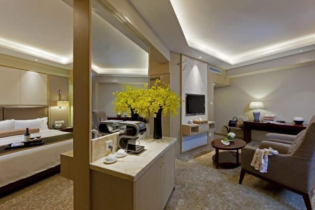 1 chambre, minibar, coffres-forts dans les chambres, bureau