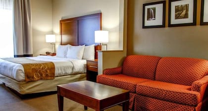 Comfort Suites Gadsden Attalla
