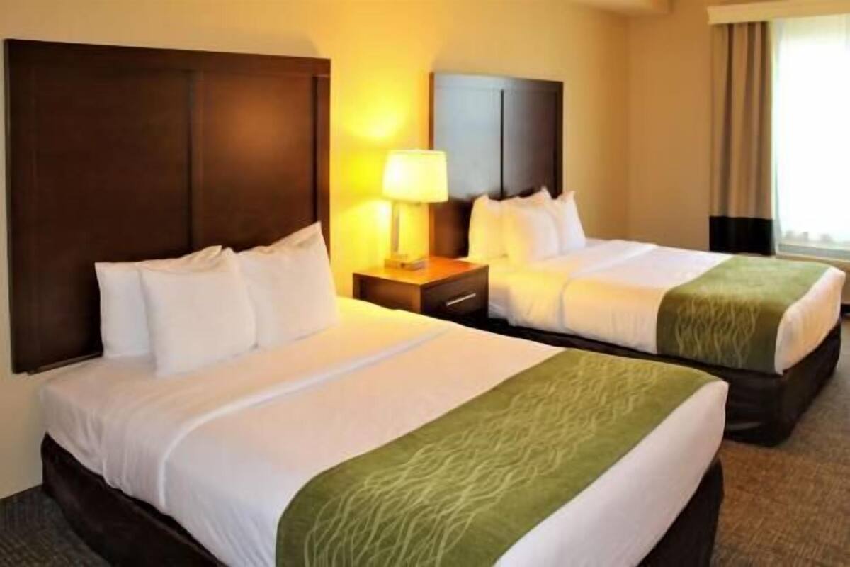 Two beds with headboards, a nightstand with a lamp, and a window with curtains.