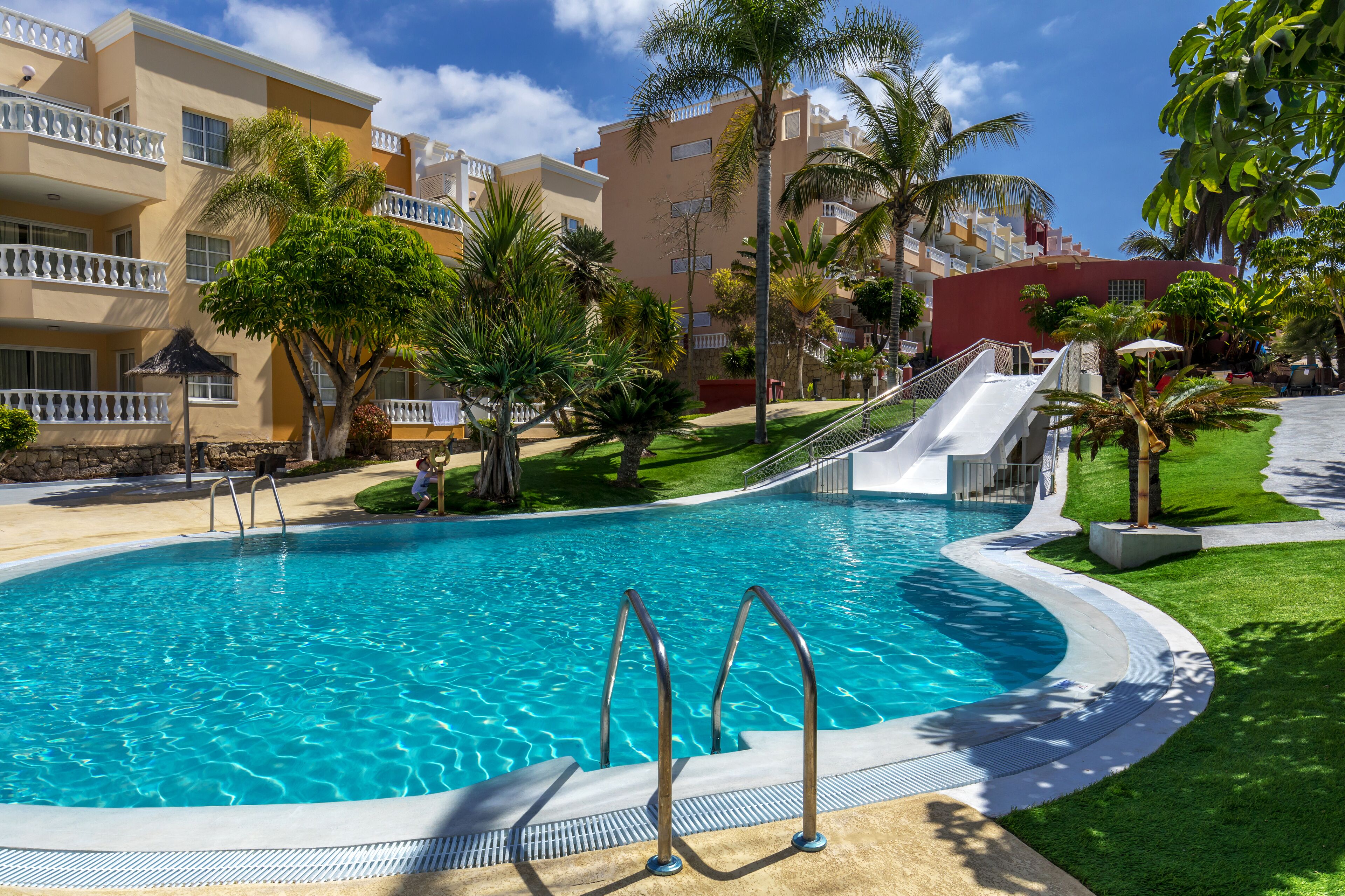 A swimming pool with a curved edge, surrounded by a well-maintained lawn and palm trees.