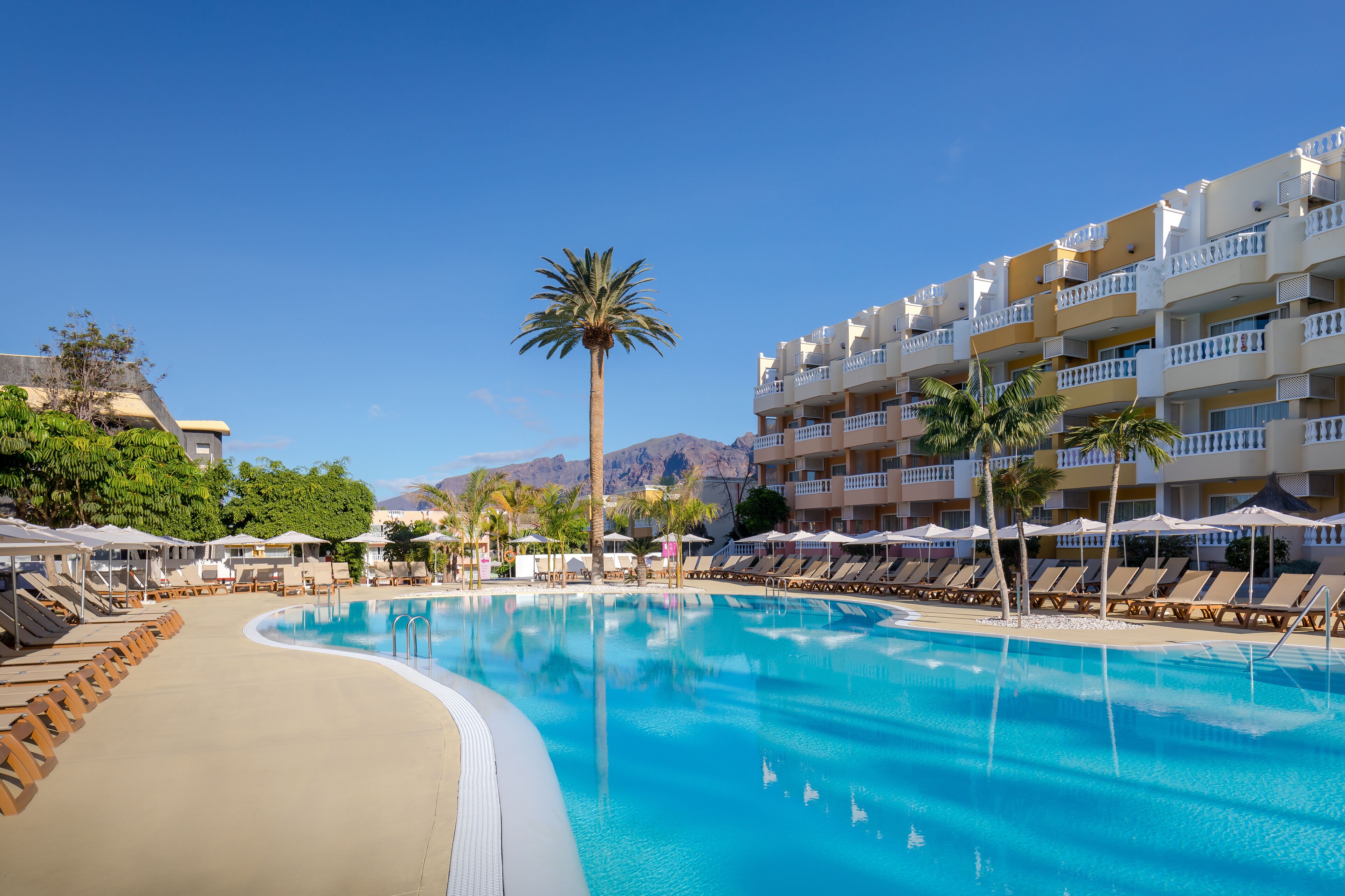 Un área de piscina en un resort con tumbonas, sombrillas y una palmera.