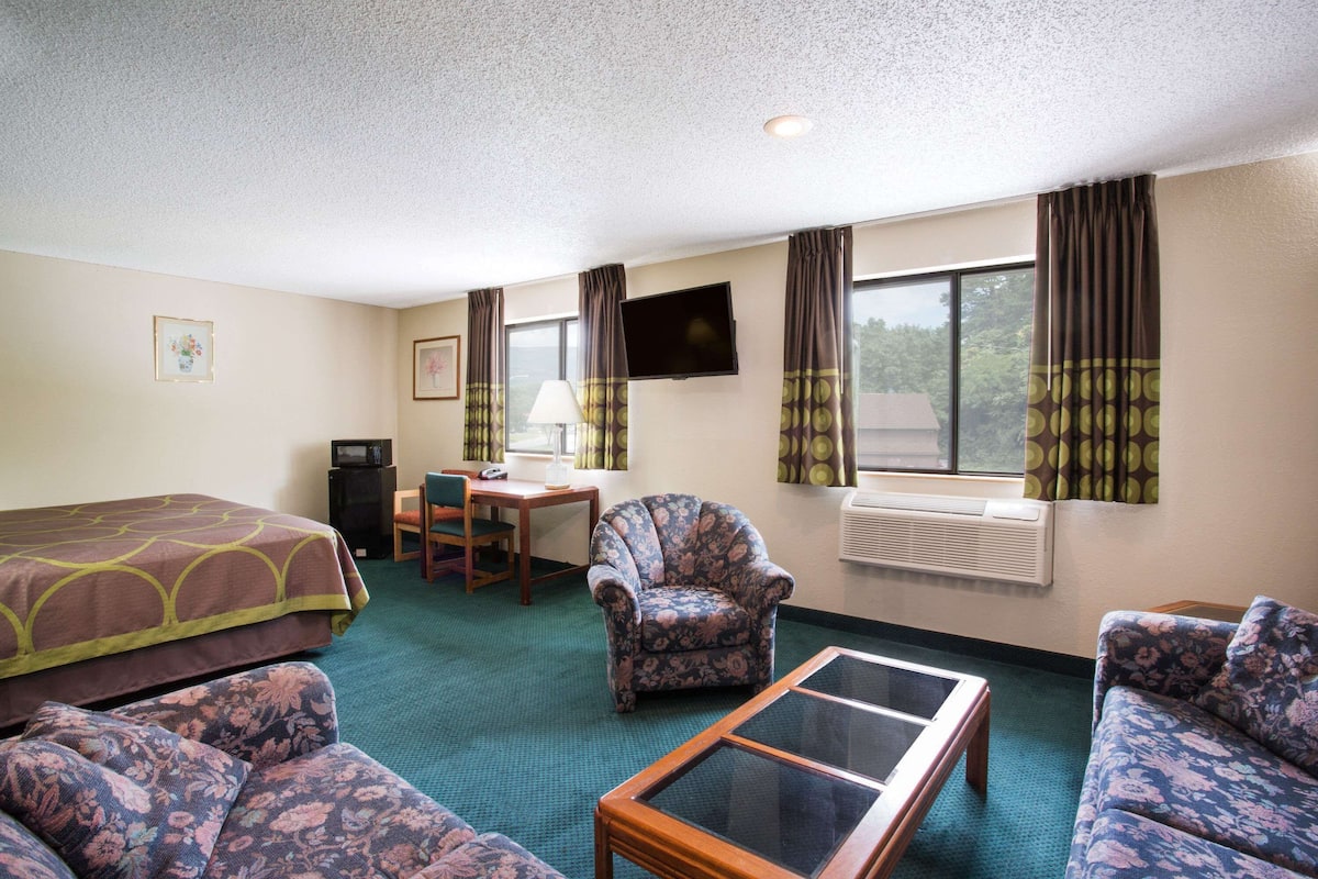 Une chambre d’hôtel avec un lit, deux canapés, une petite table, une chaise, un téléviseur et une fenêtre avec des rideaux.