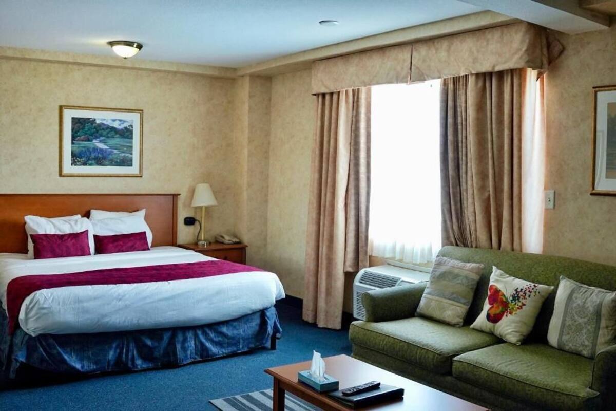 A hotel room with a large bed, a green sofa, a bedside table with a lamp, and a window with curtains.