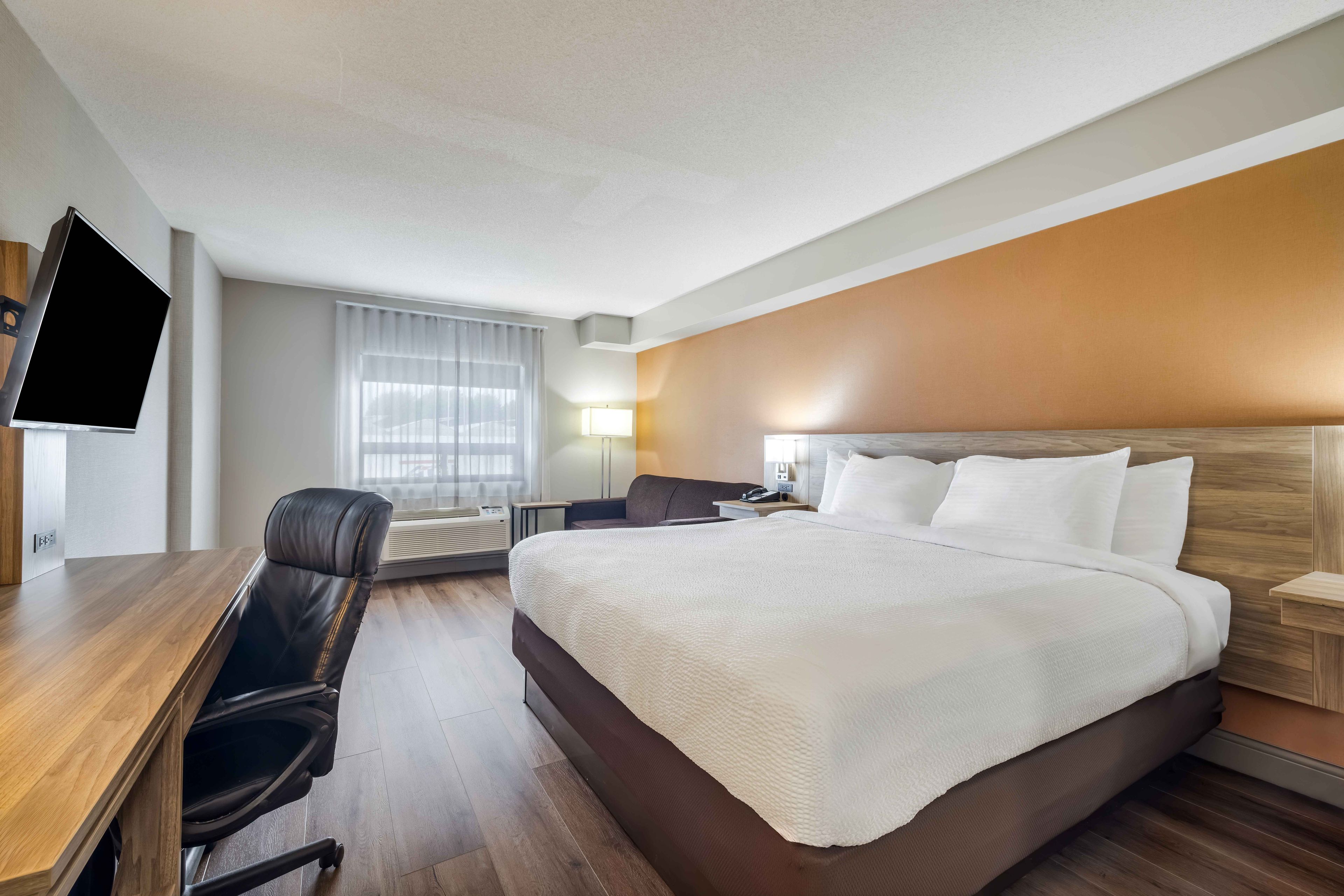 A hotel room with a bed, a desk, a chair, a TV, and a window with curtains.