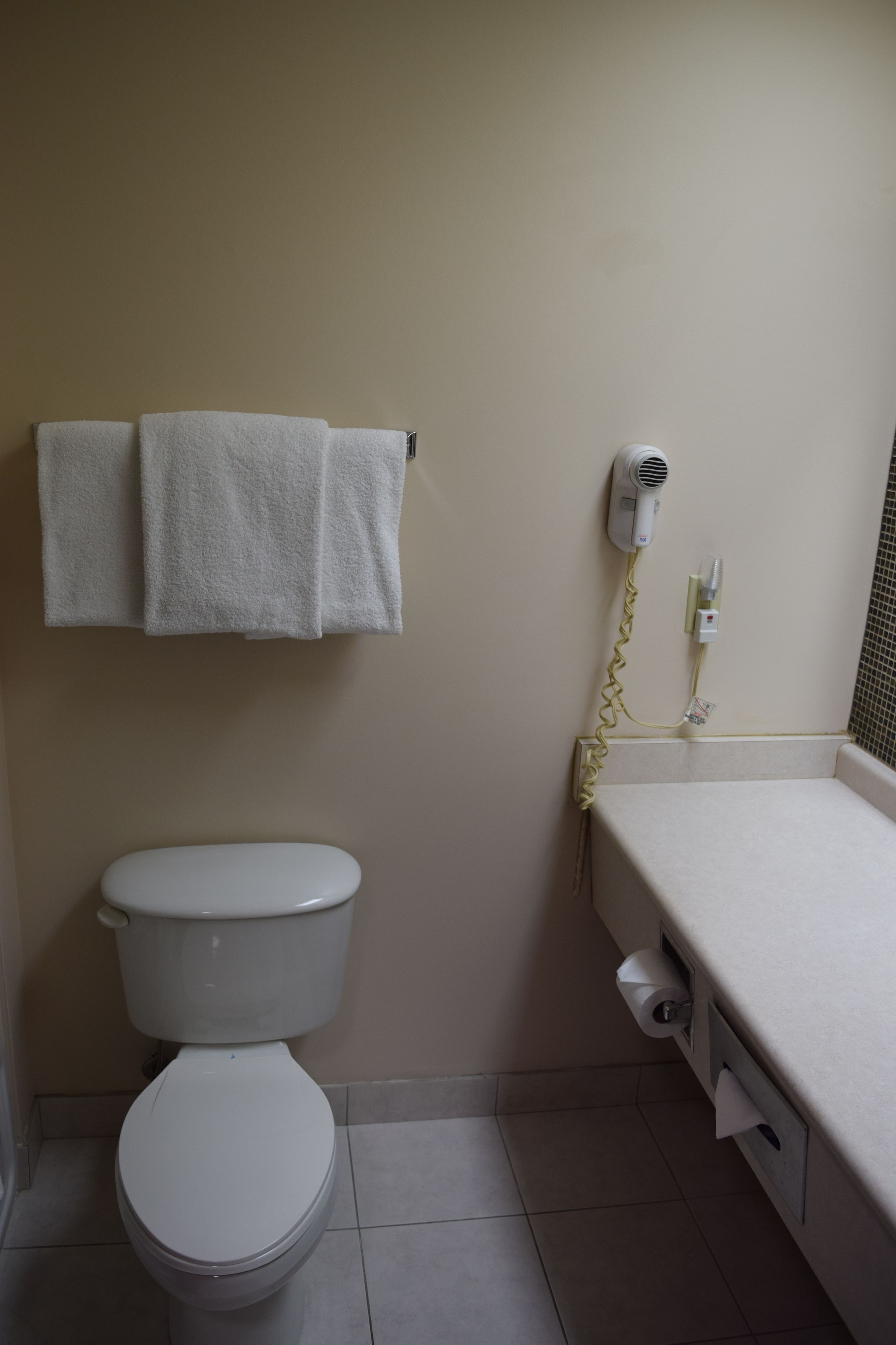 Un bagno con il water, un portascopevoli con due asciugamani, un asciugacapelli e un lavandino con uno specchio.
