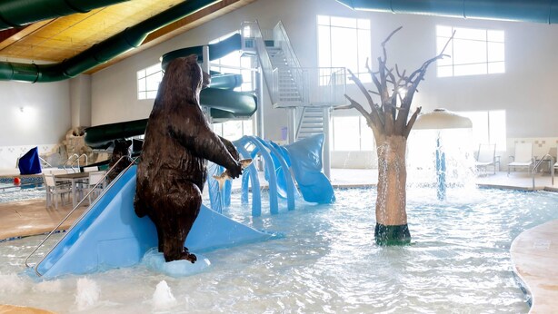 Un ours dans un parc aquatique intérieur doté de toboggans et d’une structure en forme d’arbre.