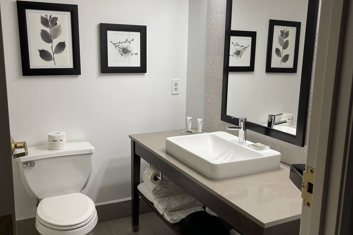 combined shower/bathtub, free toiletries, hair dryer, towels