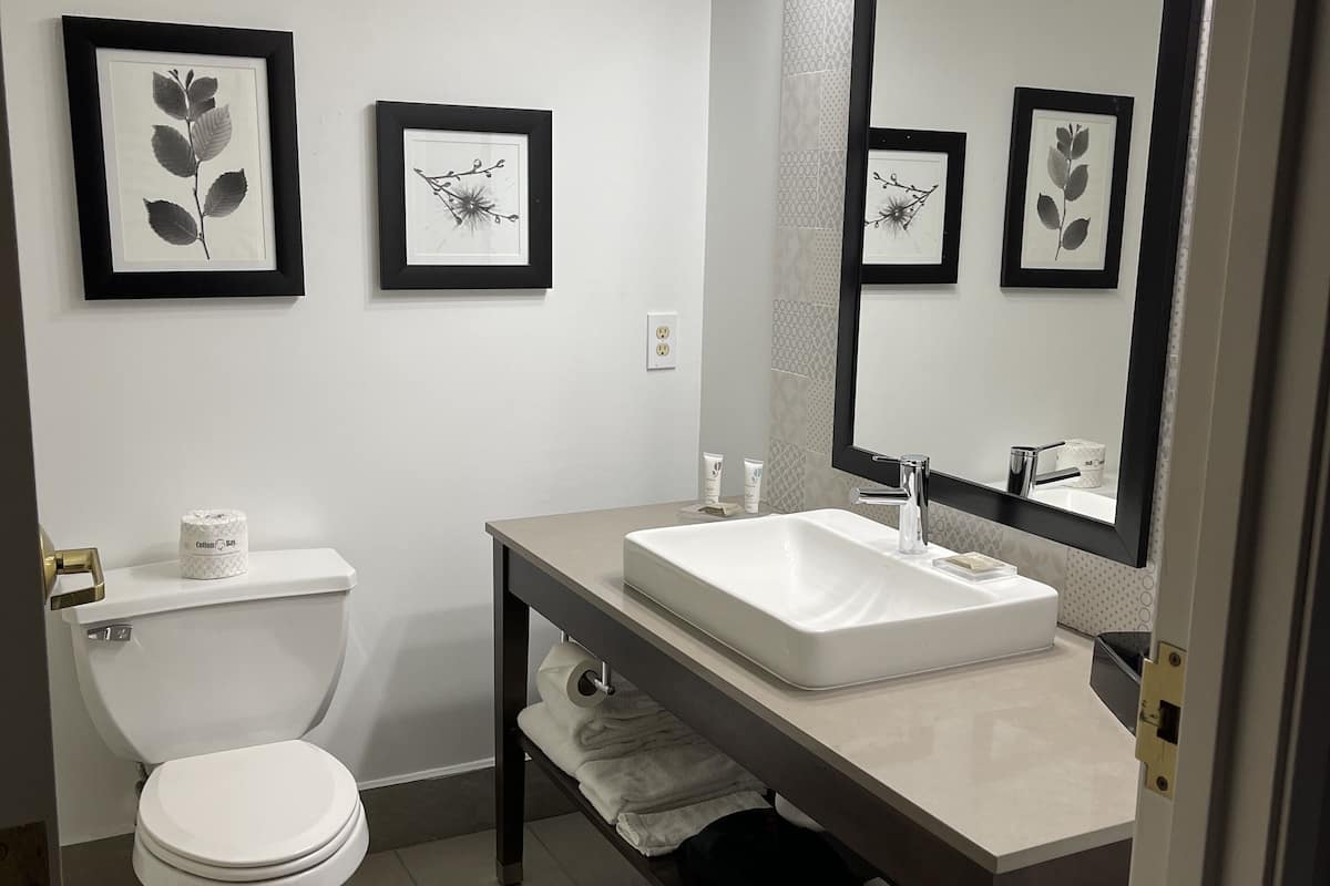 Tina con regadera, amenidades de baño gratuitas, secadora de cabello