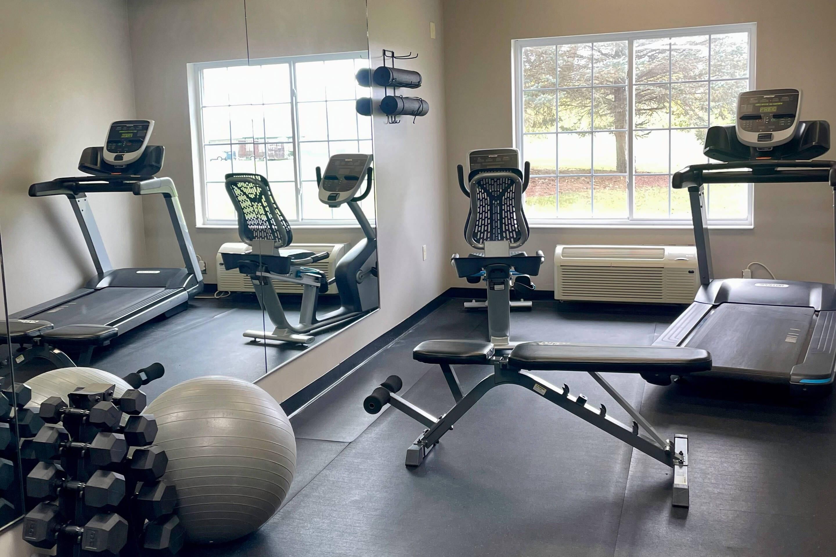 A gym with treadmills, exercise bikes, a rowing machine, dumbbells, and a medicine ball.