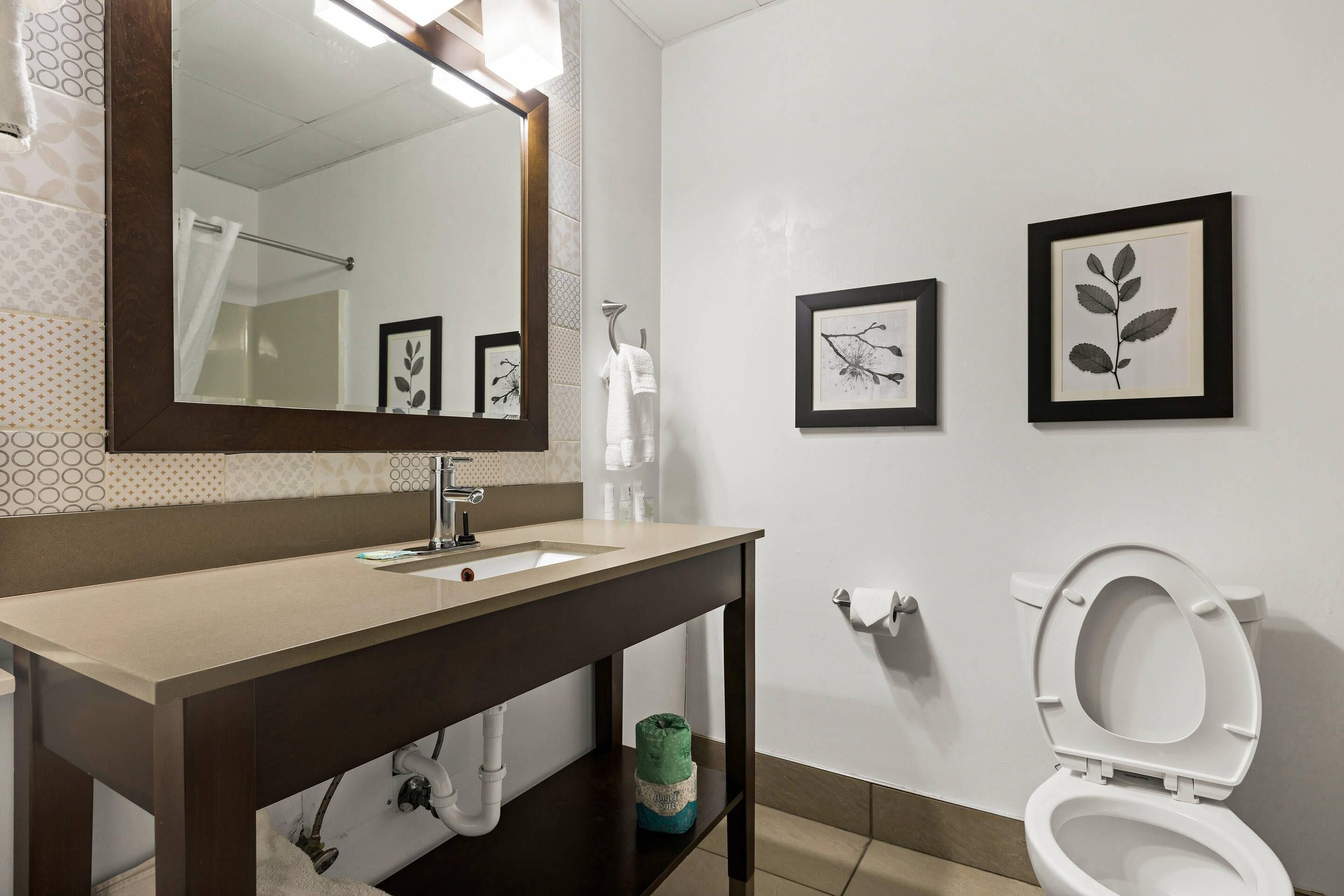 A bathroom with a sink, mirror, toilet, and framed artwork on the wall.