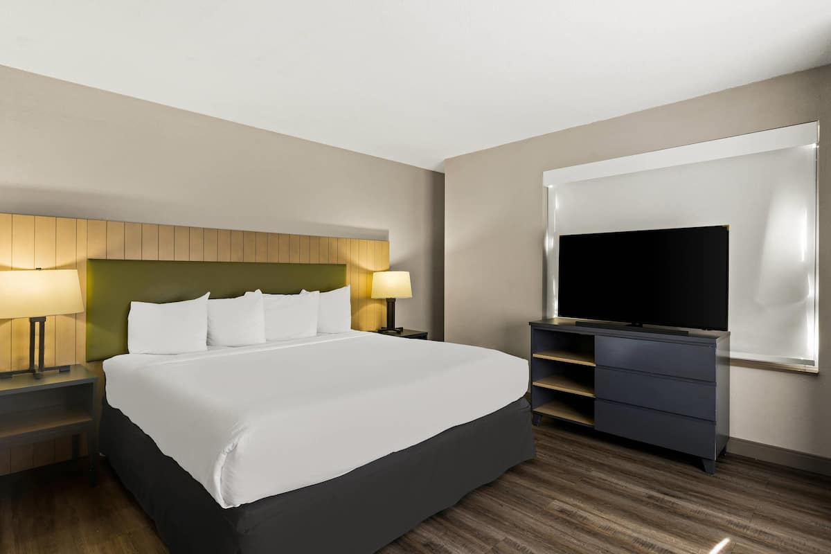 1 bedroom, premium bedding, down comforters, desk