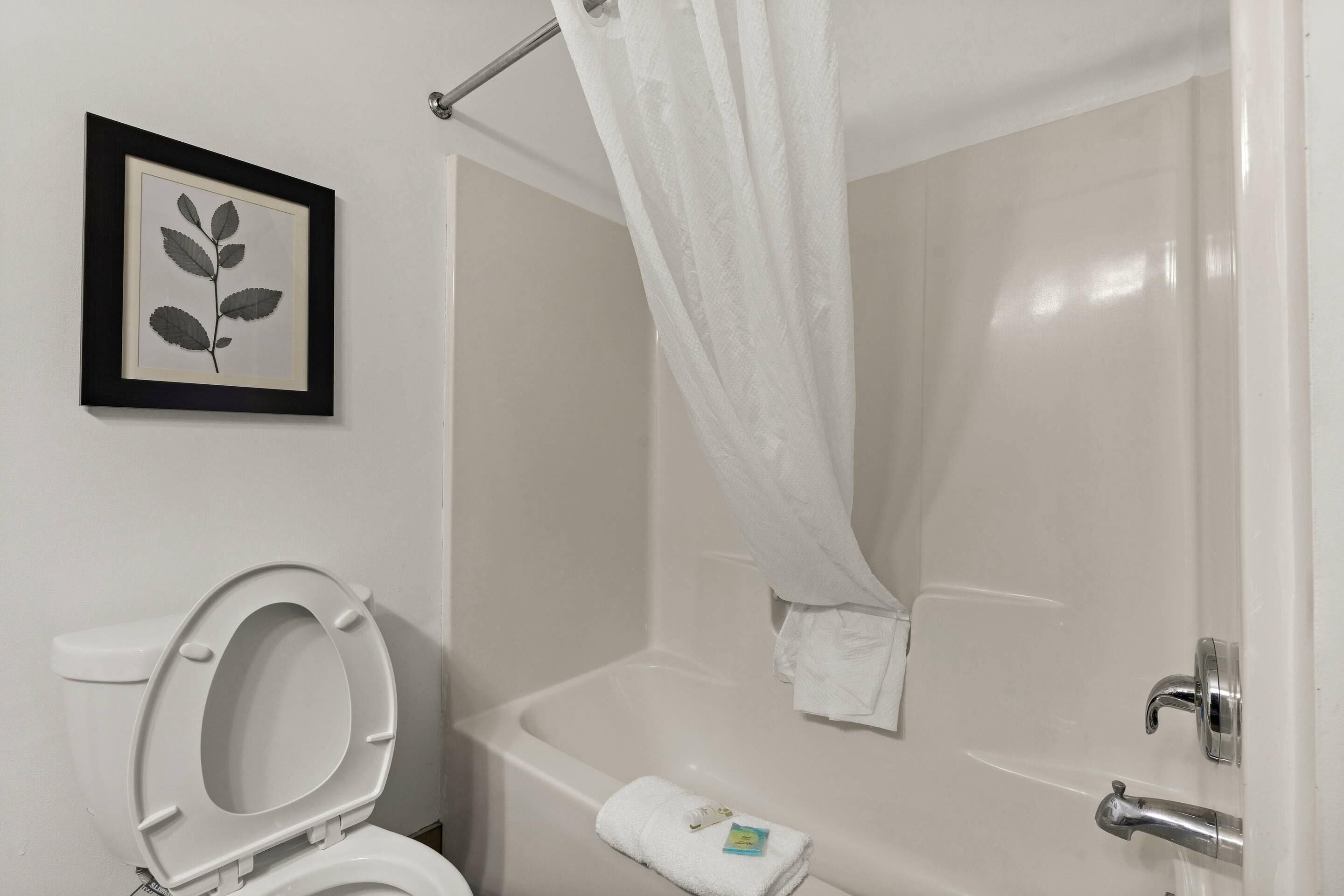 Une salle de bain avec des toilettes, une baignoire et un rideau de douche.