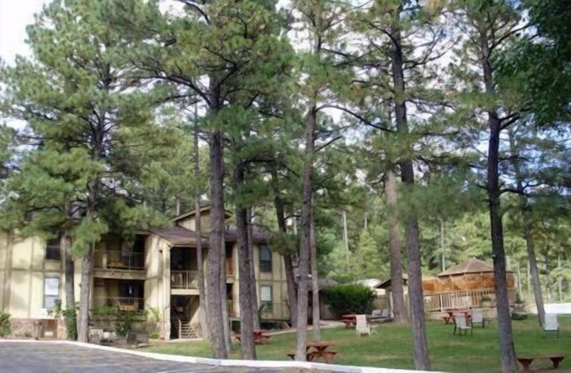 Un chalet à deux étages doté d’un balcon, entouré de grands pins.
