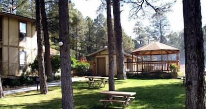Village Lodge Condos