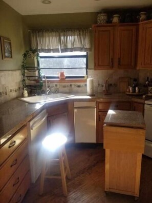 Presidential Condo | Private kitchen | Fridge, microwave, oven, stovetop