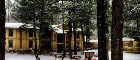 Un espace extérieur enneigé avec une statue de cerf, des arbres et un bâtiment en arrière-plan.