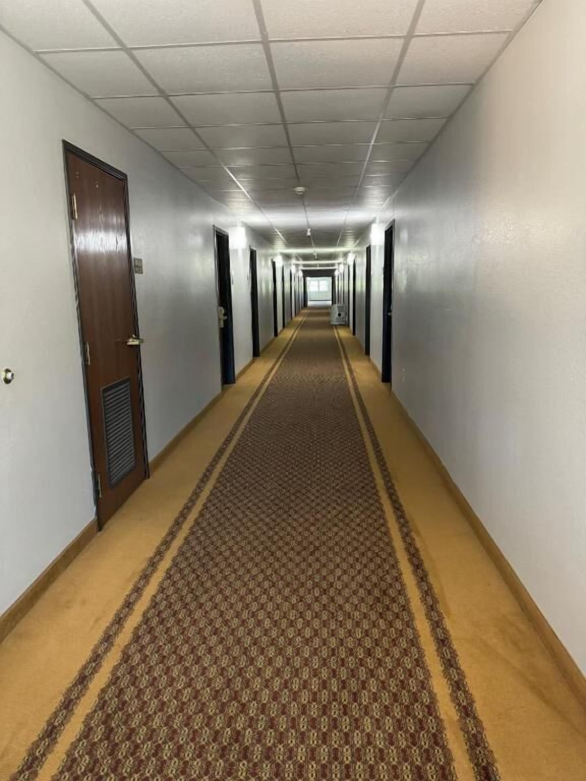Een lange, smalle hotelgang met een kamergestreept tapijt, deuren aan beide kanten en een lichtgekleurd plafond.