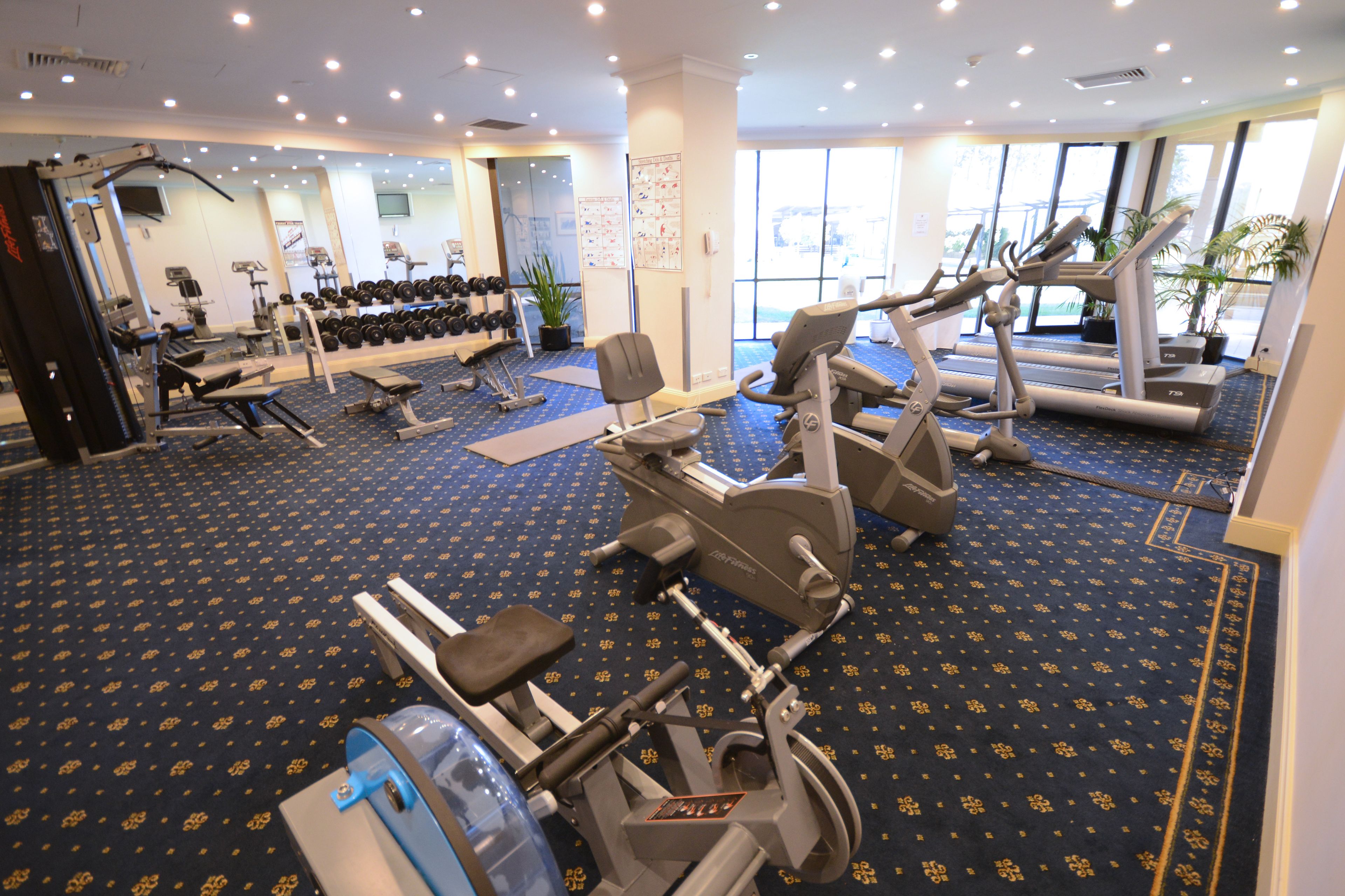 Una palestra con macchinari cardio, panche per pesi e manubri.