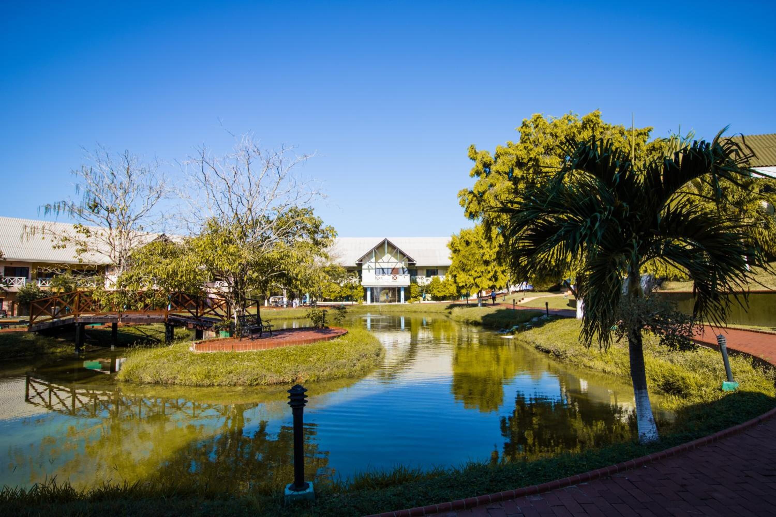 A serene courtyard with a reflective pond, a palm tree, and a building with a triangular roof.