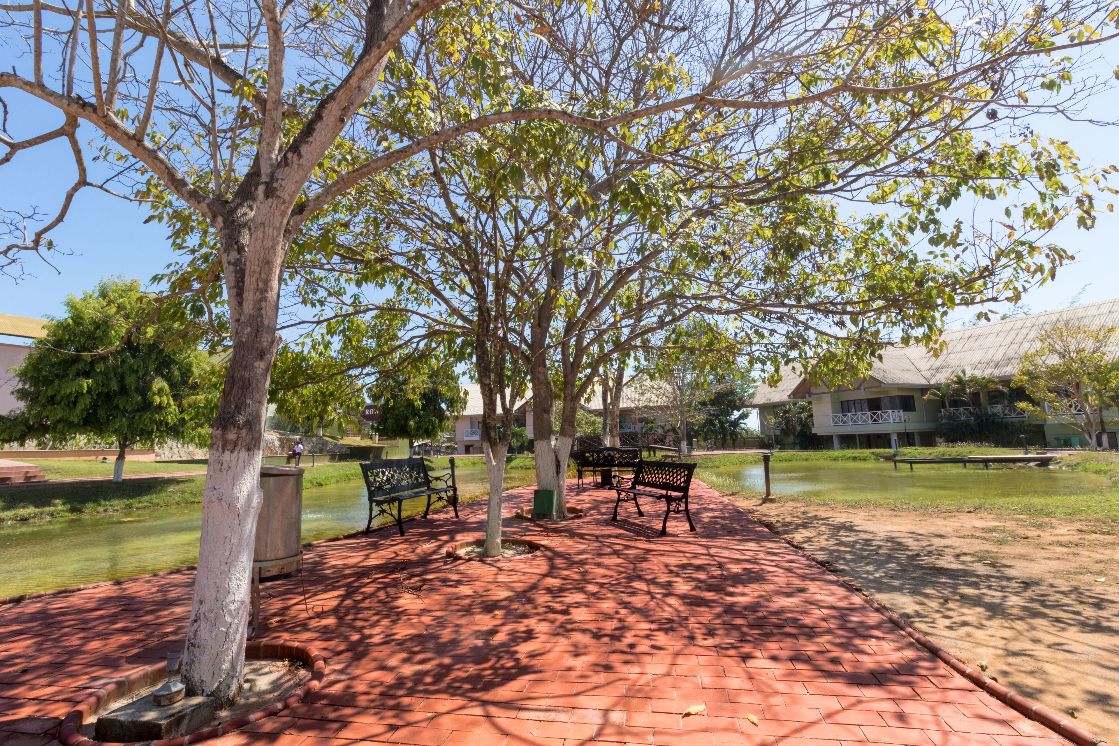 A paved park area with benches and trees.