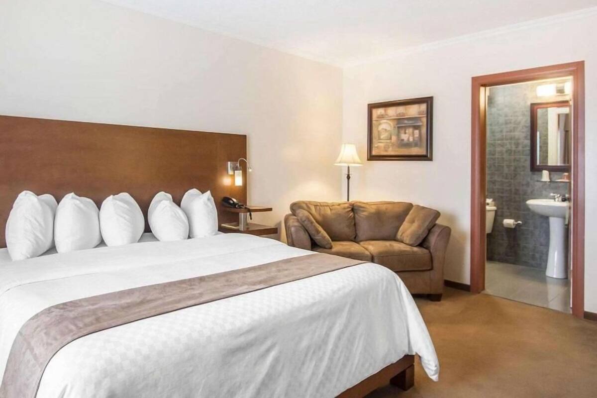 A hotel room with a large bed, a sofa, a desk with a lamp, a framed picture on the wall, and a bathroom visible through an open door.