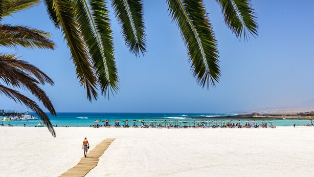 Una playa con un paseo de madera, palmeras y un cielo azul despejado.