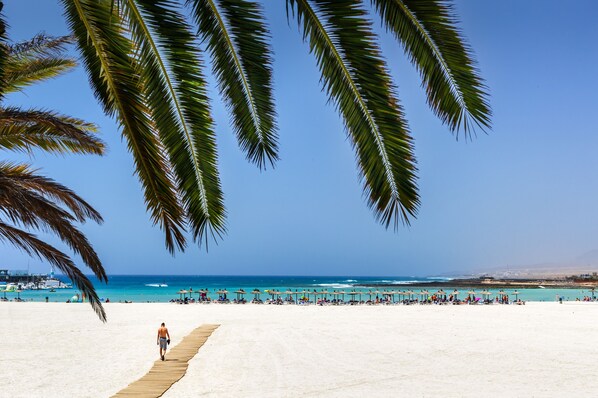 Vlak bij het strand, wit zand, strandlakens, snorkelen