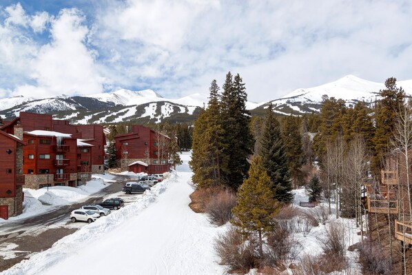 Perched in a snow-covered mountain town, this hotel offers stunning views from its multiple balconies.