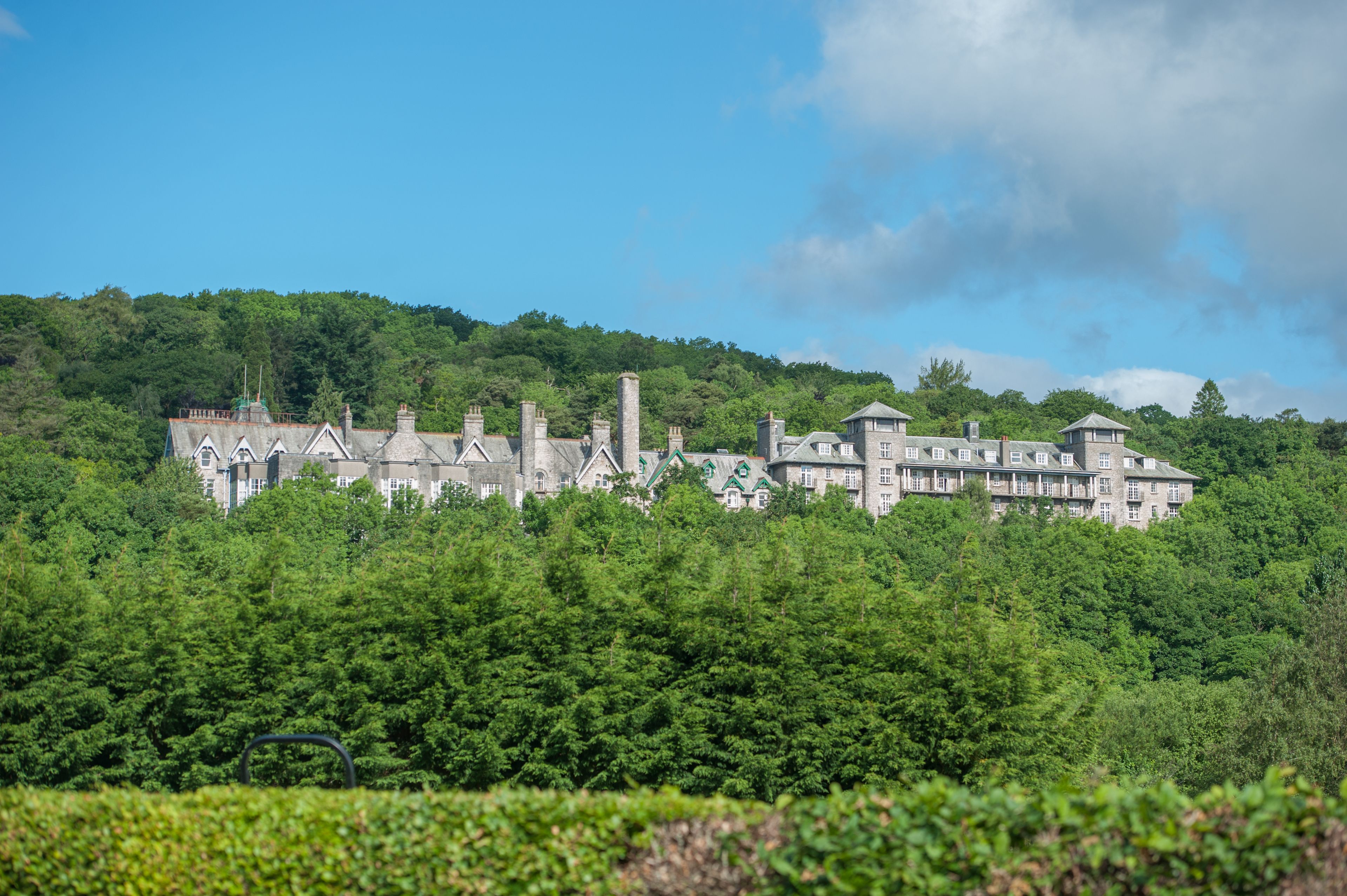 Un grand bâtiment historique, doté de nombreuses cheminées et d’une tour imposante, entouré d’une forêt verdoyante et dense.