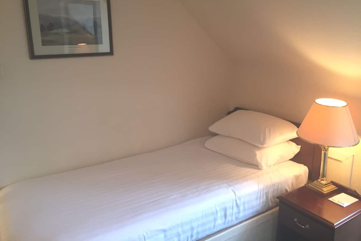 Classic Single Room | Desk, iron/ironing board, free WiFi, bed sheets