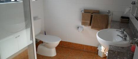 A bathroom with a toilet, sink, and towel rack.