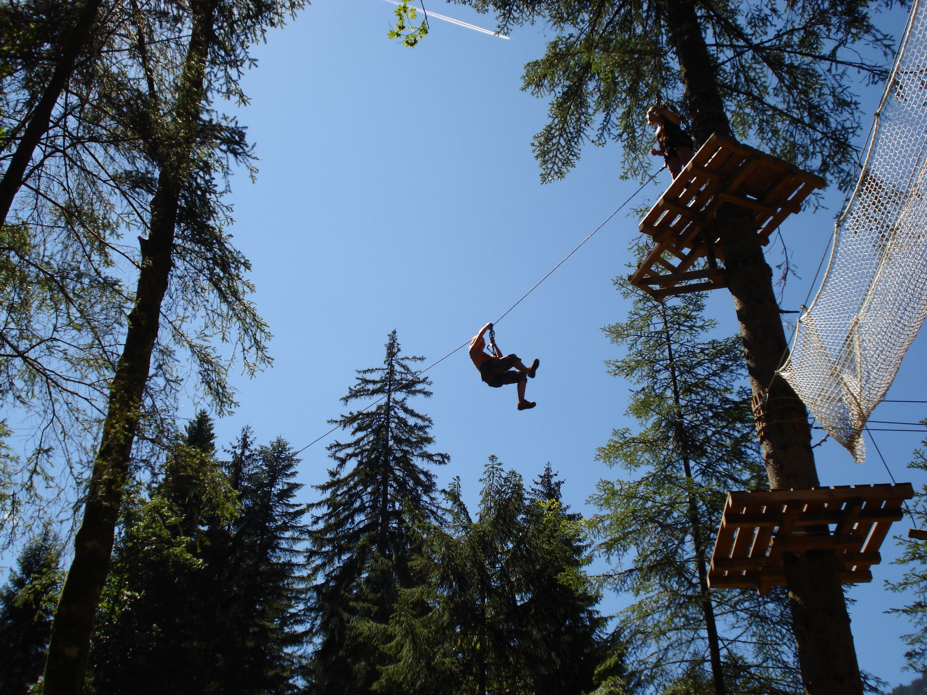 A zip-lining activity in a forested area with tall trees and a wooden platform.