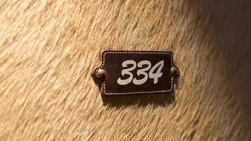 Gros plan d’une étiquette en cuir portant le numéro 334, placée sur une surface texturée.
