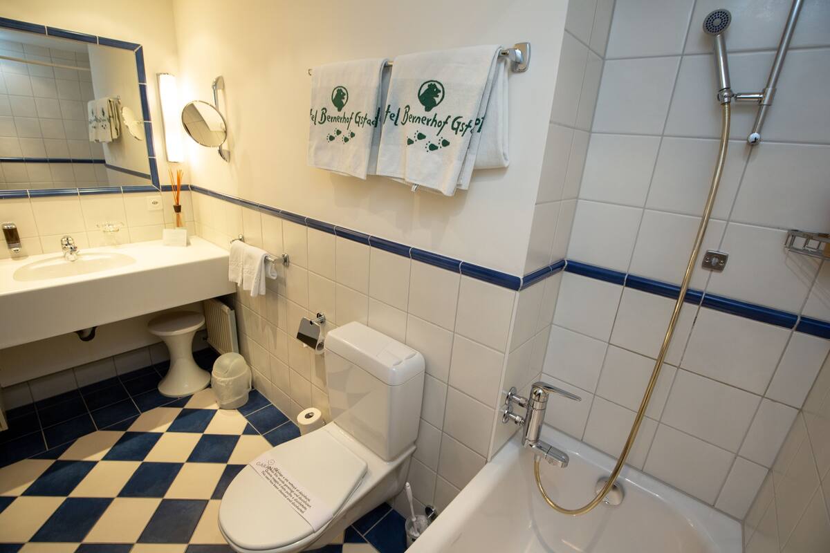 chalet double room | bathroom | shower, free toiletries, hair dryer, bathrobes