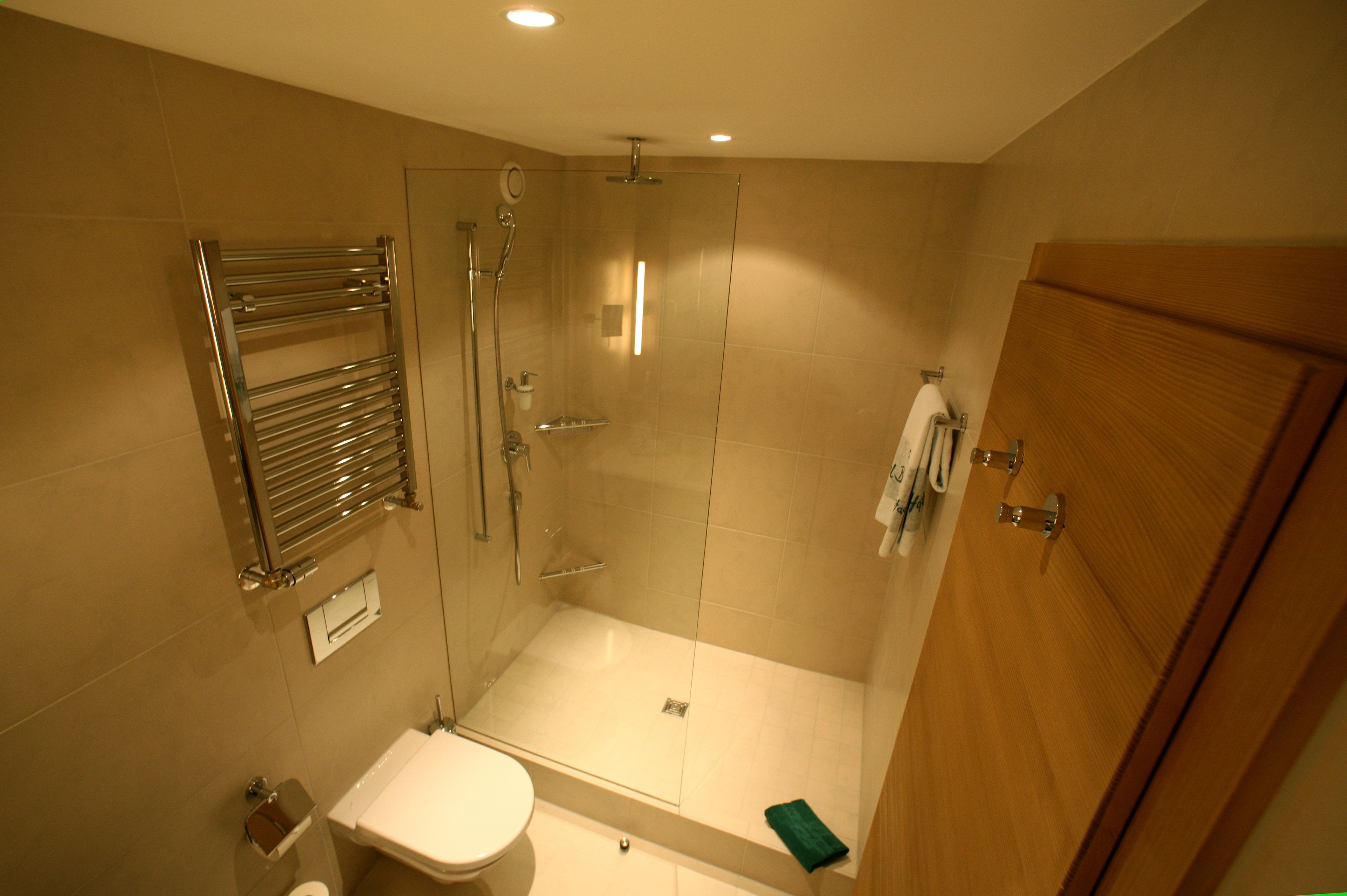 A modern bathroom with a glass-enclosed shower, a stainless steel towel rack, a toilet, and a wooden door.