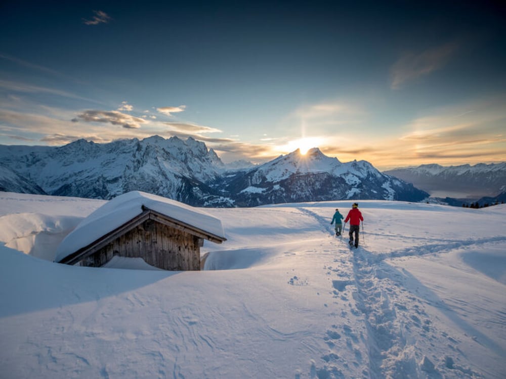 Victoria - Alpine Boutique Hotel & Fine Dining by null