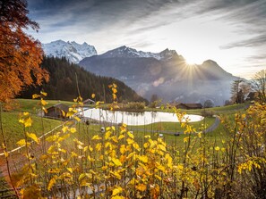 Blick auf die Umgebung