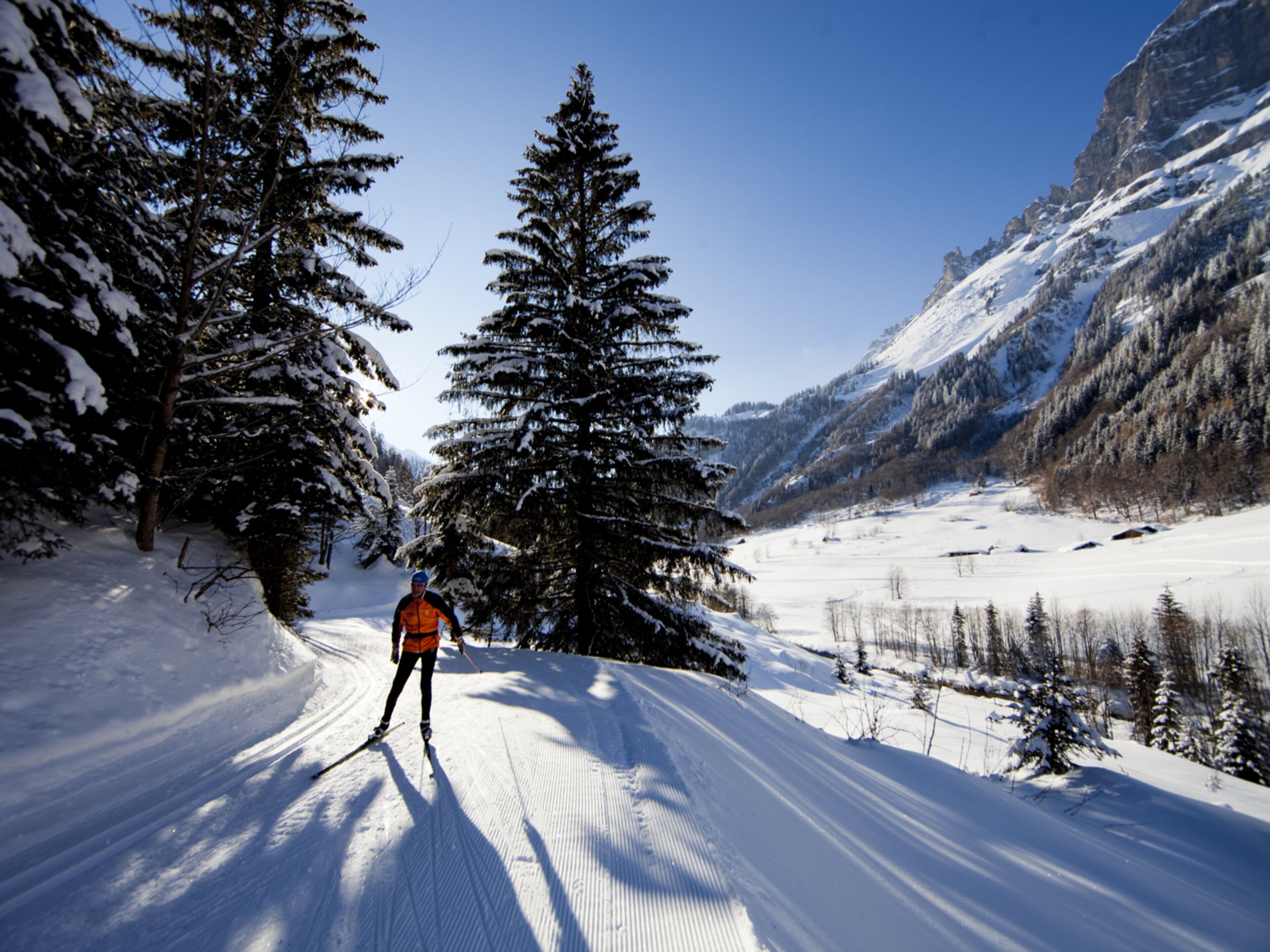 A snowy landscape with a skier, trees, and mountains.