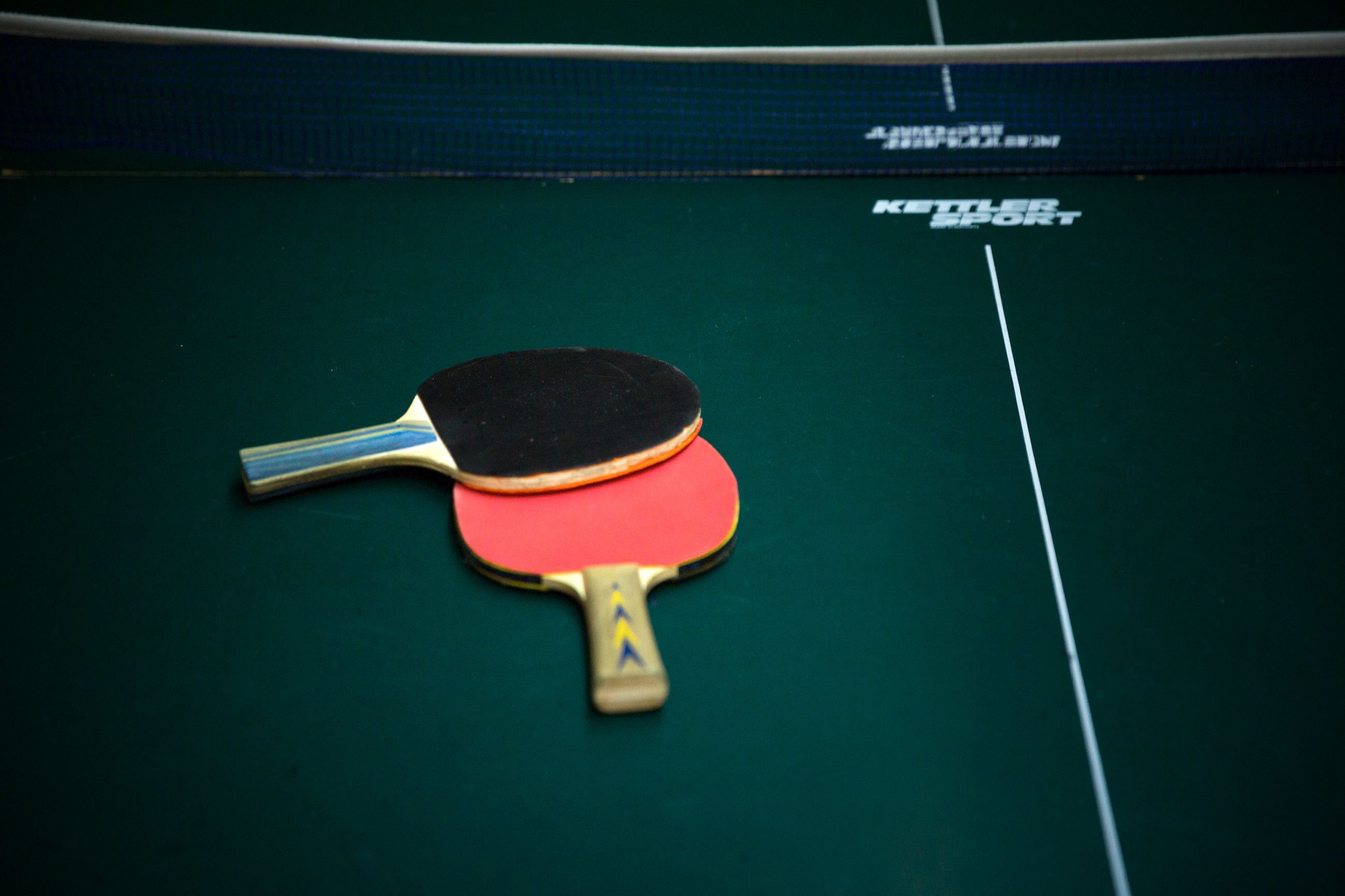 Et bordtennisbord med net og to bat.