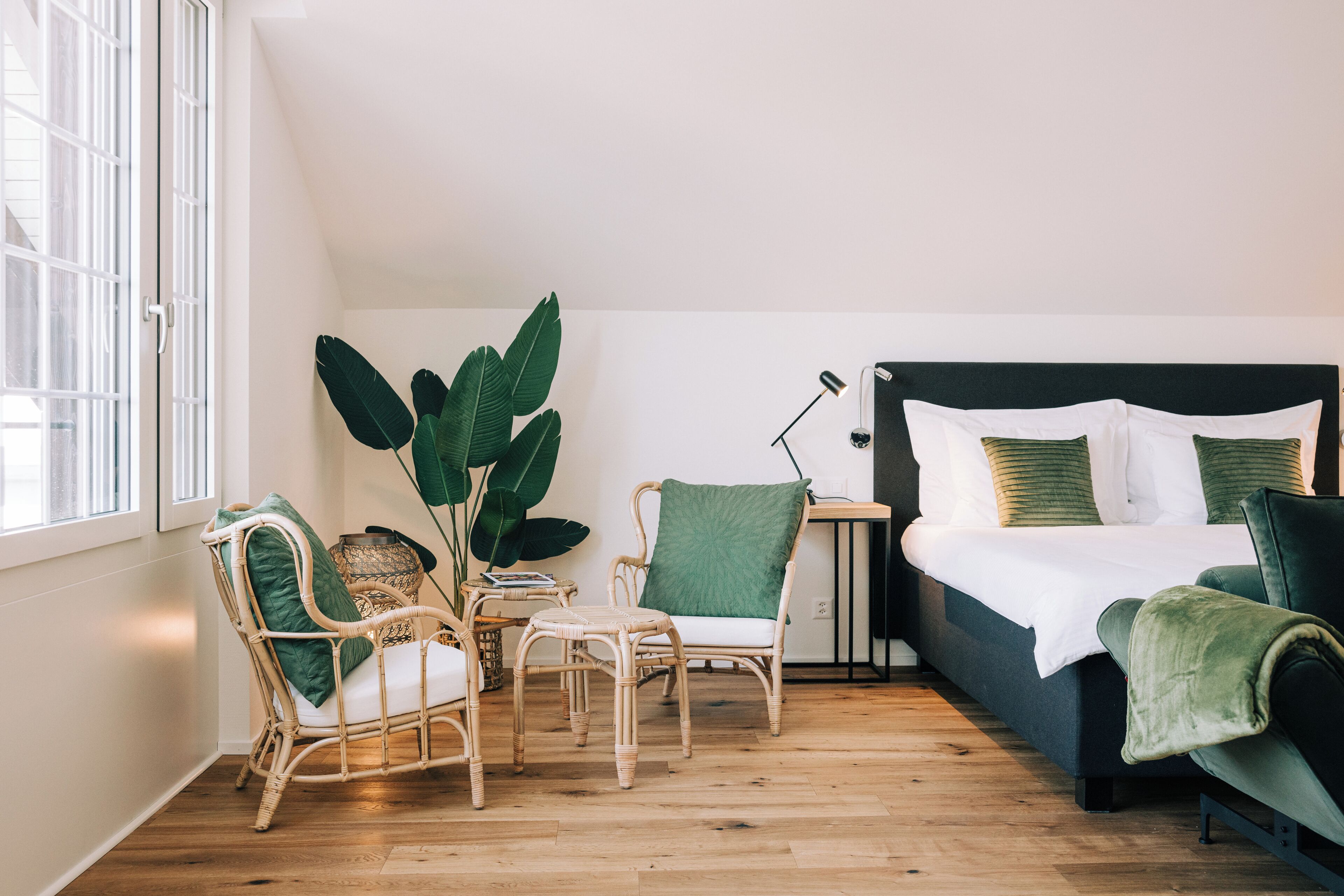 Une chambre à coucher avec un lit, deux fauteuils en osier, une table d’appoint et une grande plante.