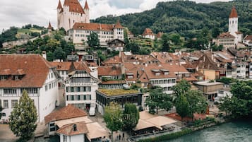 Une ville riveraine dotée de bâtiments historiques, d’un château et d’un hôtel appelé « HÔTEL KRONE ».