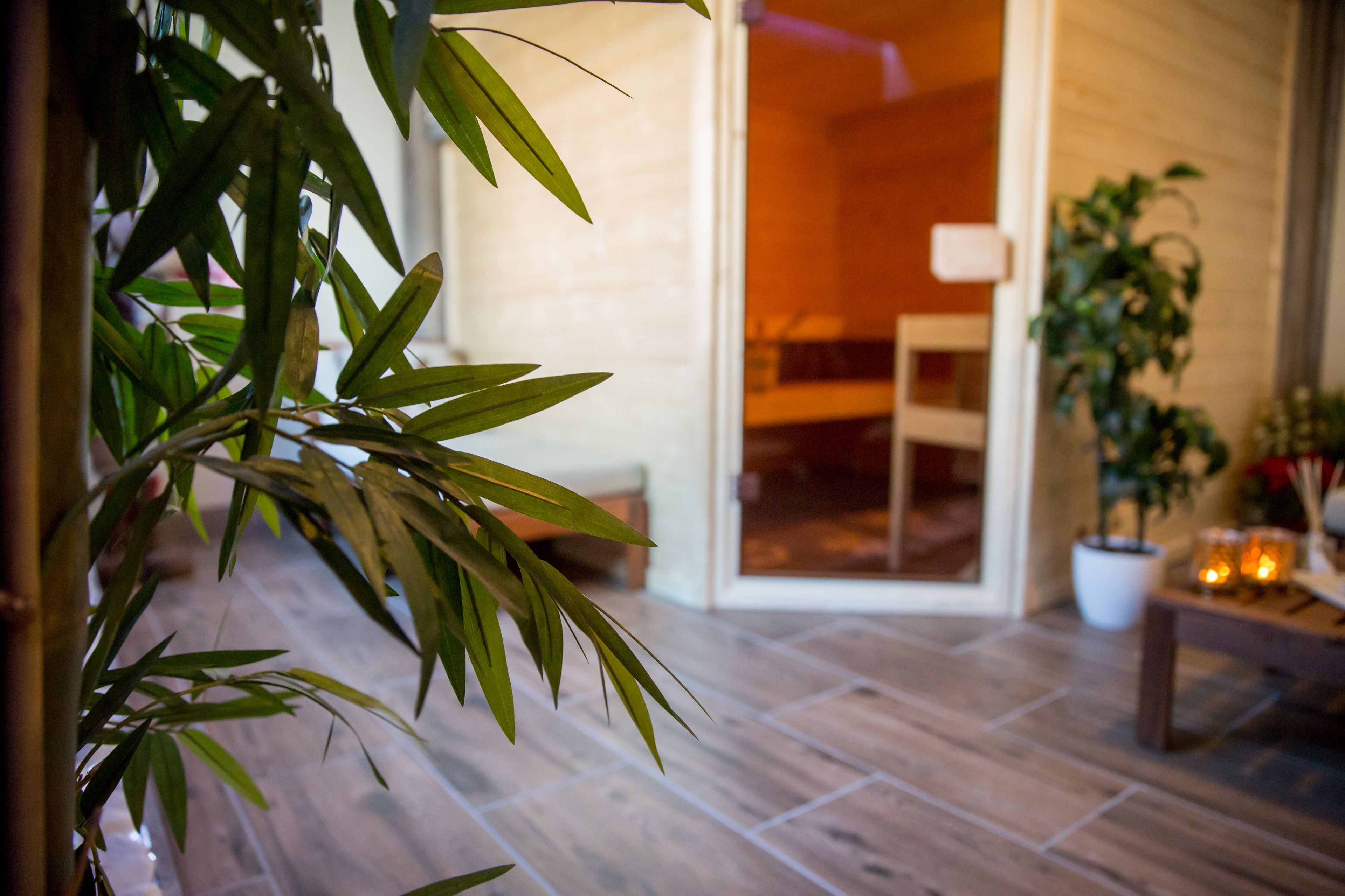A room with a wooden floor, a bed, a potted plant, and a table with candles.