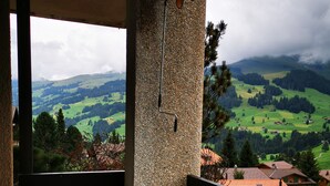 Unclassified image, 2 of 57, button - Hotel Crystal (Adelboden)