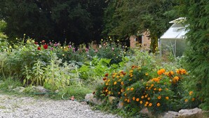 A garden with a variety of flowers and plants, a greenhouse, and a building in the background. - Hôtel de l'Aigle (Val-de-Travers)