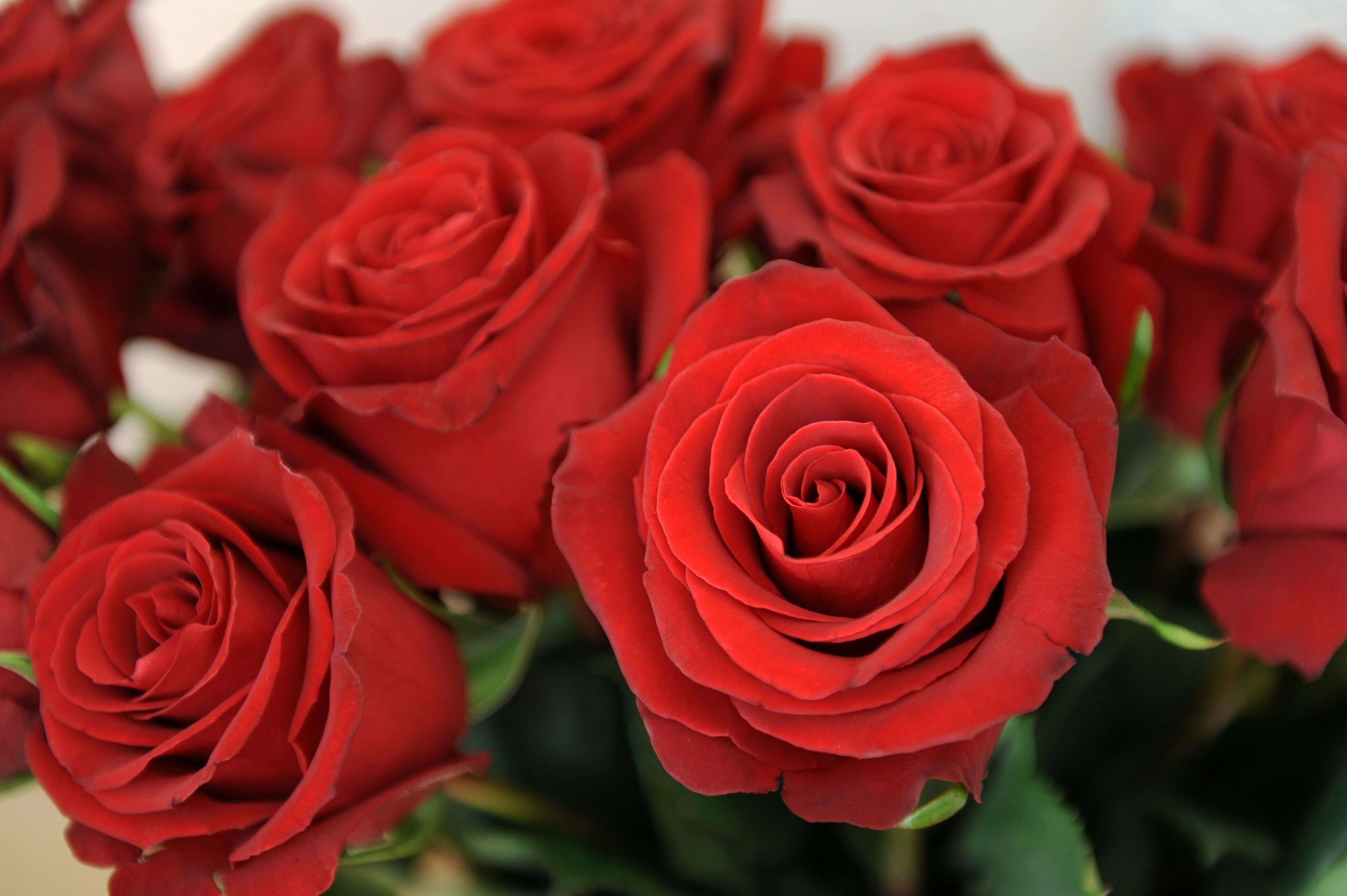 standard room (love room/air conditioning) | premium bedding, pillow-top beds, minibar, in-room safe