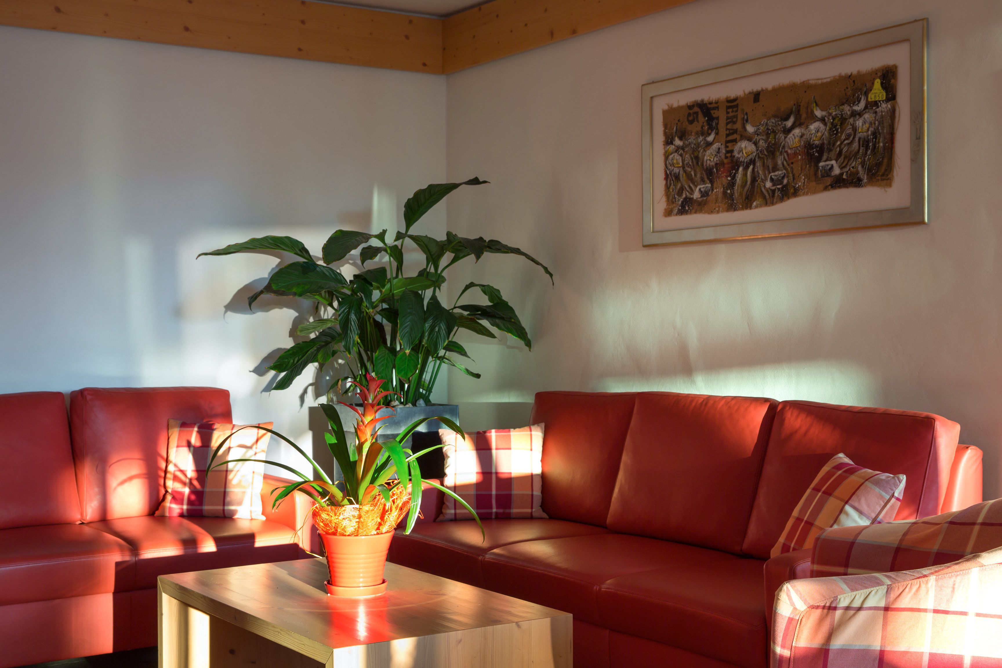 A living room with a red sofa, a wooden coffee table, and a potted plant.