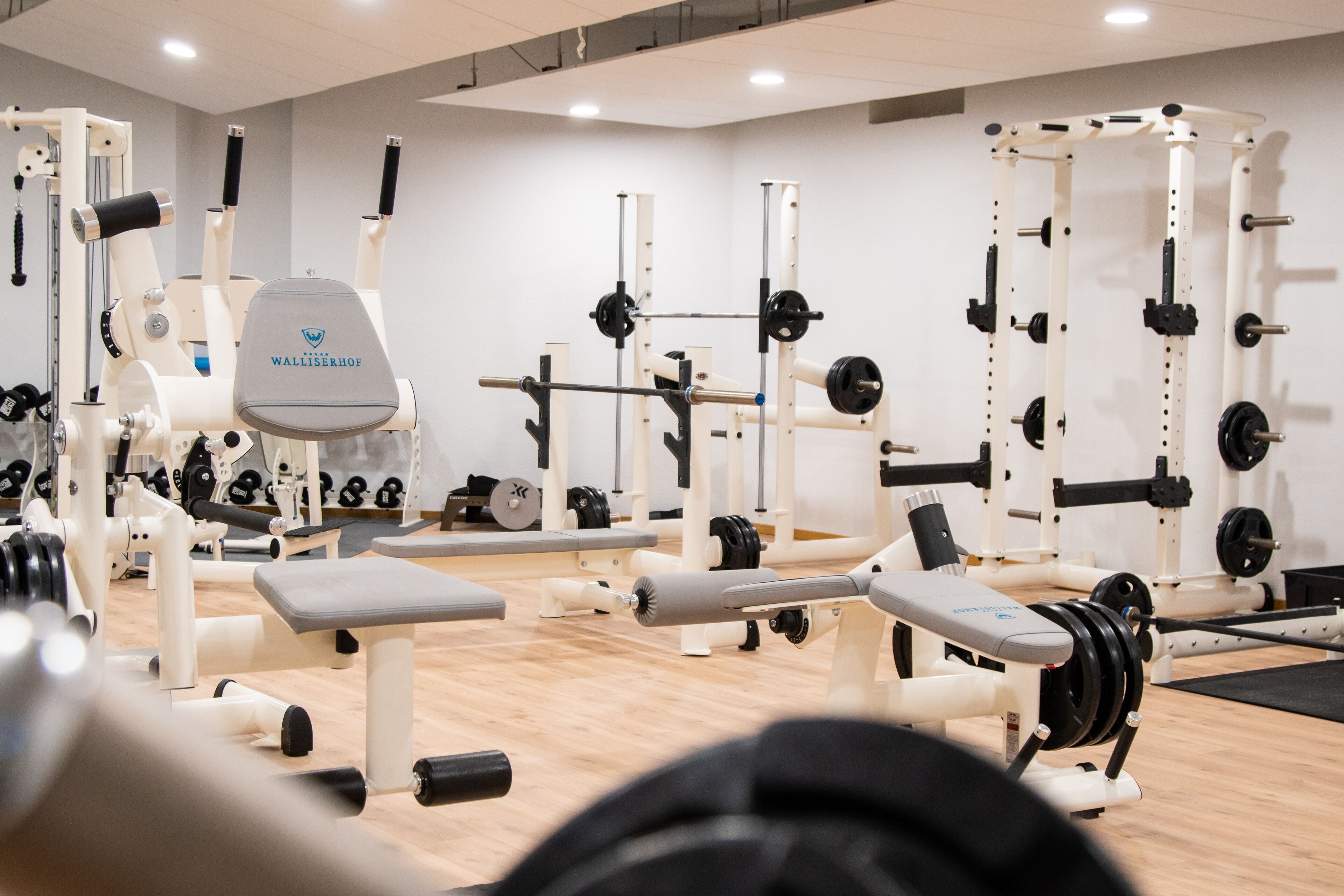 Ein Fitnessstudio mit verschiedenen Gewichten, Bänken und Kurzhanteln.