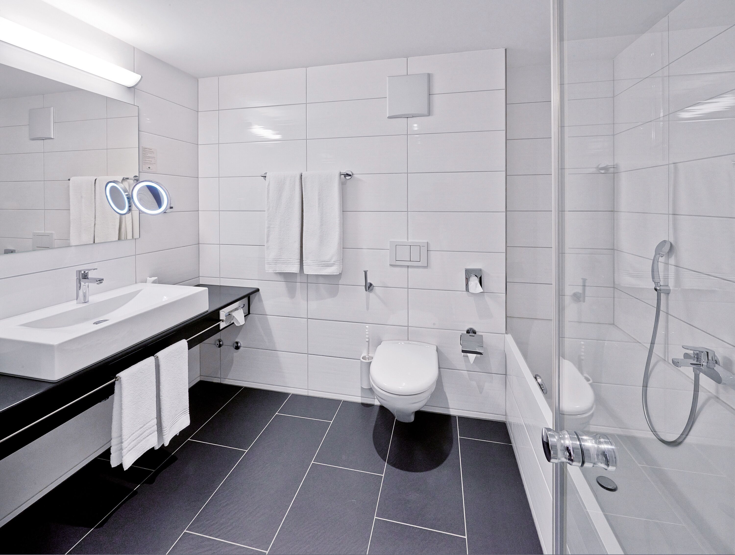 Une salle de bain moderne dotée d’un grand lavabo, de toilettes et d’un espace douche.