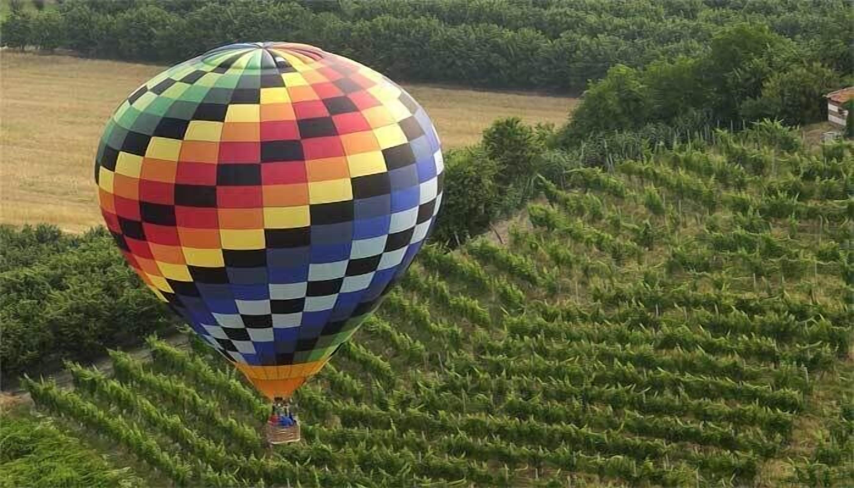 Un globo aerostático con estampado de cuadros, sobrevolando un campo con hileras de cultivos.