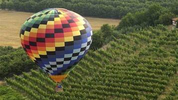 Un globo aerostático con estampado de cuadros, sobrevolando un campo con hileras de cultivos.